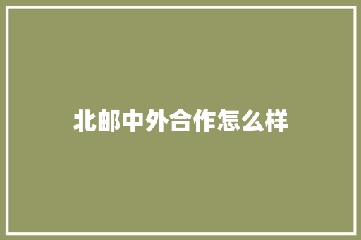 北邮中外合作怎么样