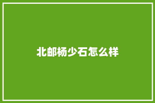 北邮杨少石怎么样