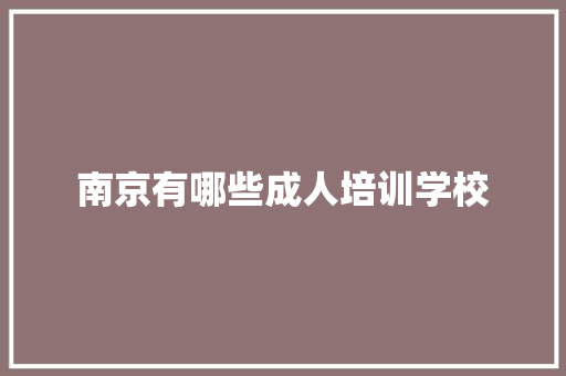 南京有哪些成人培训学校