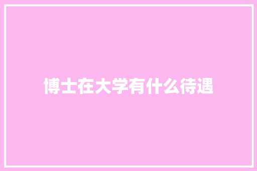 博士在大学有什么待遇