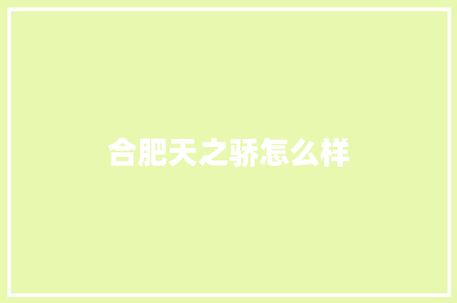 合肥天之骄怎么样
