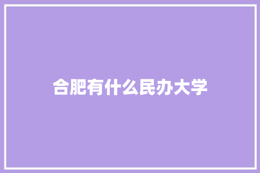 合肥有什么民办大学