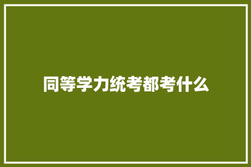 同等学力统考都考什么