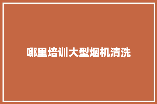 哪里培训大型烟机清洗