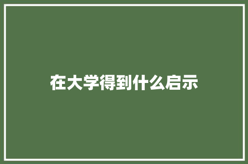 在大学得到什么启示