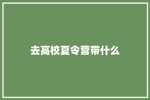 去高校夏令营带什么