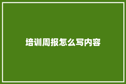 培训周报怎么写内容