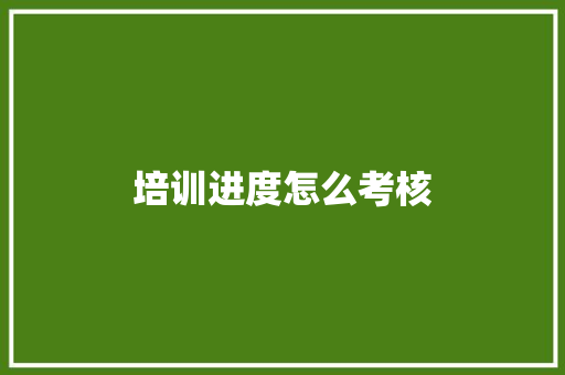 培训进度怎么考核