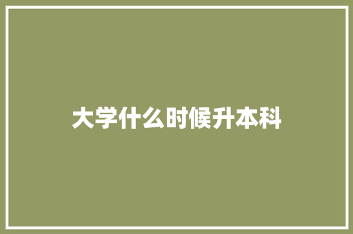 大学什么时候升本科