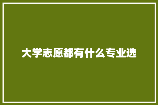 大学志愿都有什么专业选