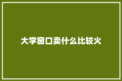 大学窗口卖什么比较火