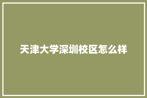 天津大学深圳校区怎么样