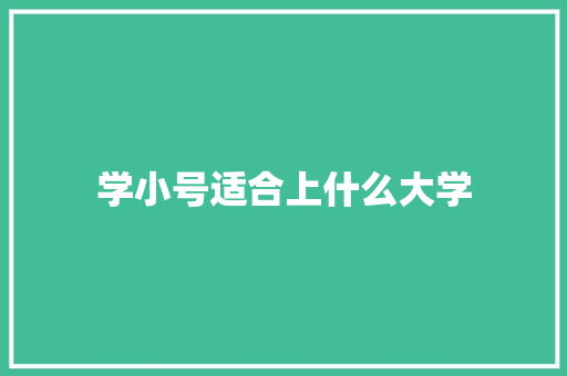 学小号适合上什么大学