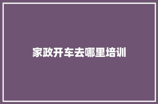 家政开车去哪里培训