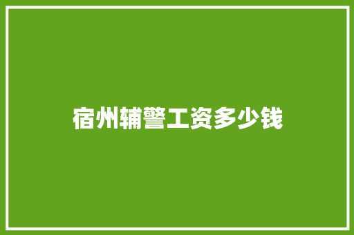 宿州辅警工资多少钱