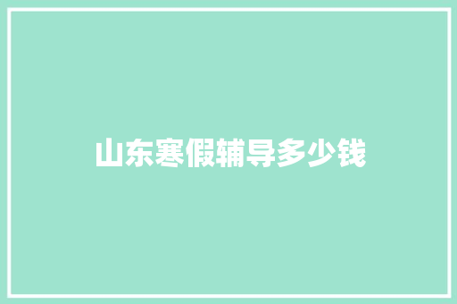 山东寒假辅导多少钱