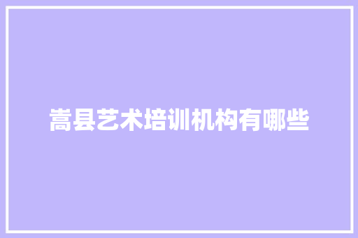 嵩县艺术培训机构有哪些