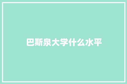 巴斯泉大学什么水平