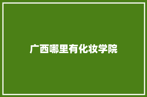 广西哪里有化妆学院
