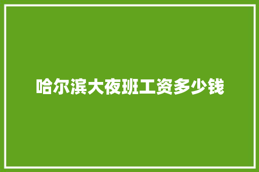 哈尔滨大夜班工资多少钱