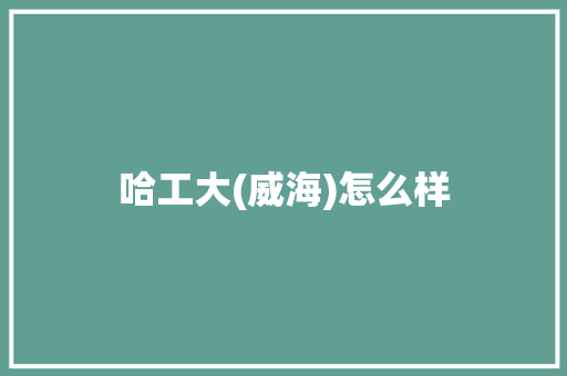 哈工大(威海)怎么样