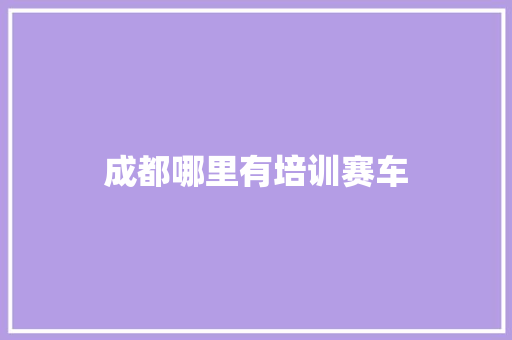 成都哪里有培训赛车
