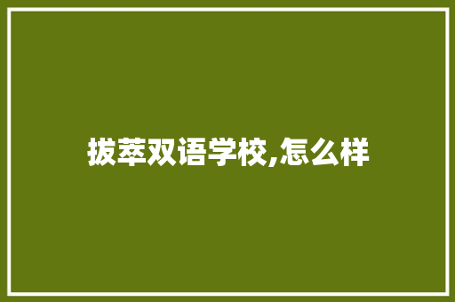 拔萃双语学校,怎么样
