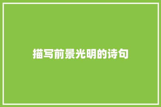 描写前景光明的诗句