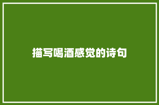 描写喝酒感觉的诗句