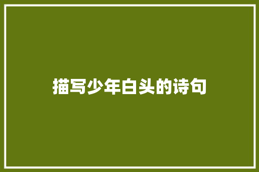 描写少年白头的诗句