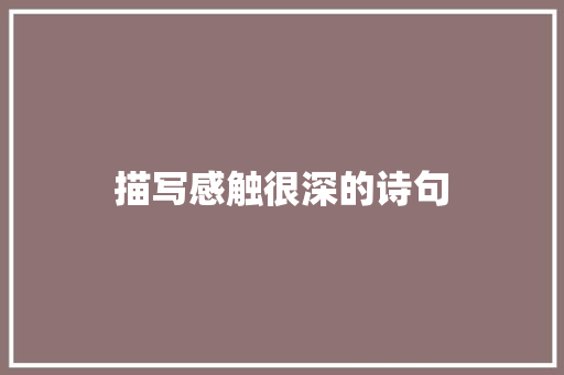 描写感触很深的诗句
