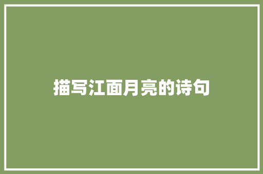 描写江面月亮的诗句
