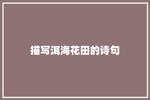 描写洱海花田的诗句