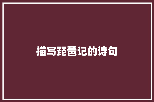 描写琵琶记的诗句