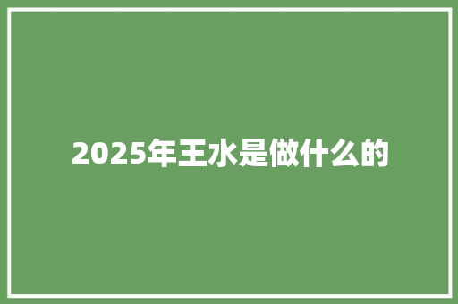 2025年王水是做什么的