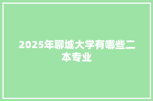 2025年聊城大学有哪些二本专业