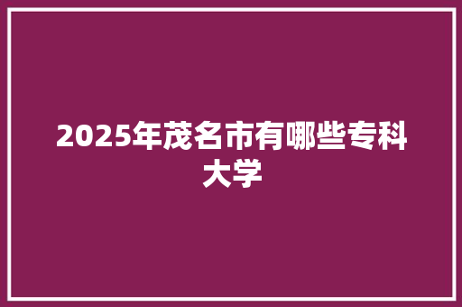 2025年茂名市有哪些专科大学