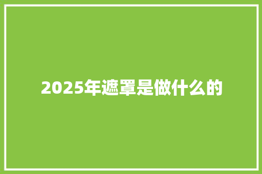 2025年遮罩是做什么的