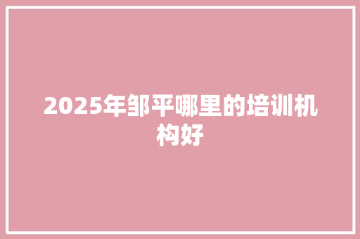 2025年邹平哪里的培训机构好