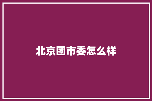 北京团市委怎么样