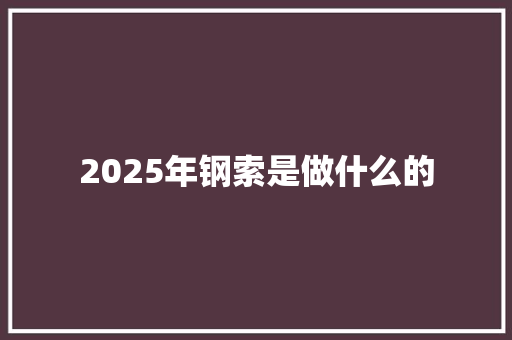 2025年钢索是做什么的