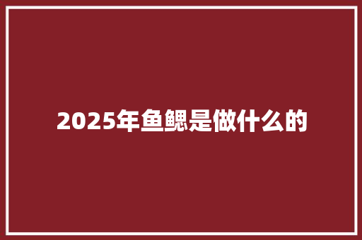 2025年鱼鳃是做什么的