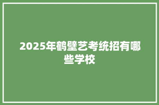 2025年鹤壁艺考统招有哪些学校