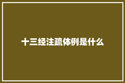 十三经注疏体例是什么