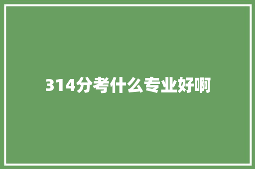 314分考什么专业好啊