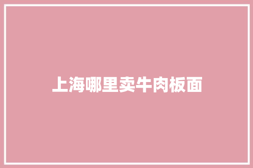 上海哪里卖牛肉板面
