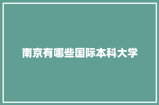 南京有哪些国际本科大学