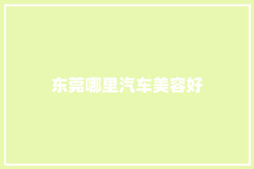 东莞哪里汽车美容好