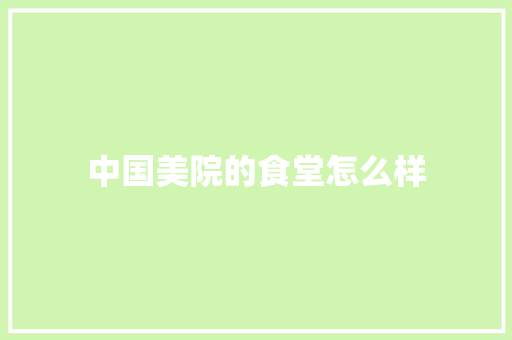 中国美院的食堂怎么样