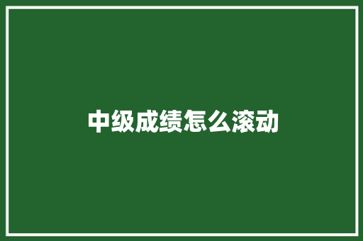 中级成绩怎么滚动